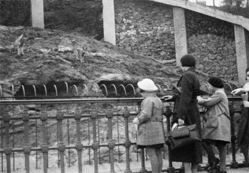 Fotografie ze Zoo Praha z archivu paní L. Niklové.